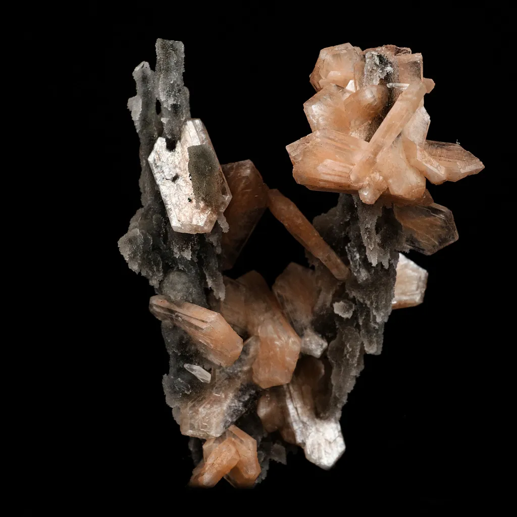 Stilbite on Chalcedony Coral Formation Natural Mineral Specimen image