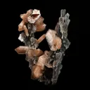 Stilbite on Chalcedony Coral Formation Natural Mineral Specimen - image 4
