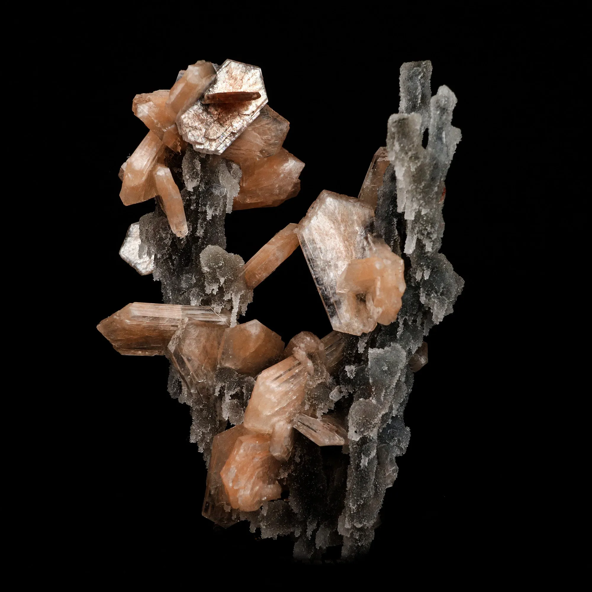 Stilbite on Chalcedony Coral Formation Natural Mineral Specimen - image 4