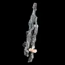 Stilbite on Chalcedony Coral Natural Mineral Specimen - image 5