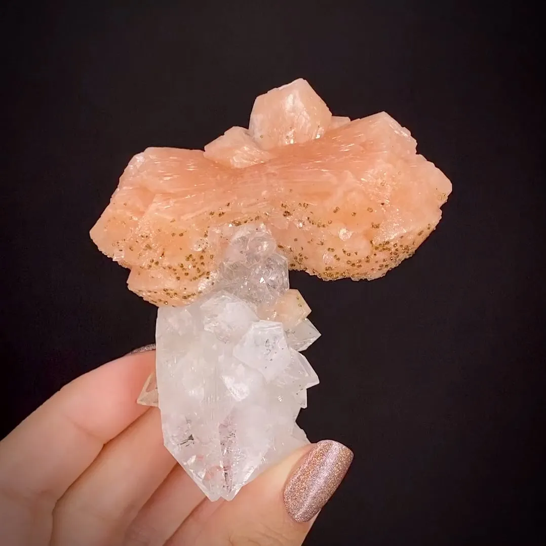 Stilbite on Fluorapophyllite - image 2