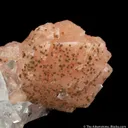 Stilbite on Fluorapophyllite - image 4