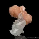 Stilbite on Fluorapophyllite - image 5
