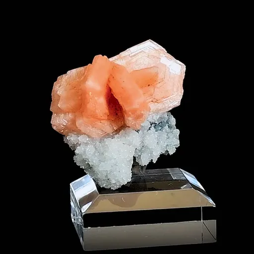 specimen video
