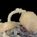 Stilbite on Quartz - image 1