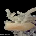 Stilbite on Quartz - image 6