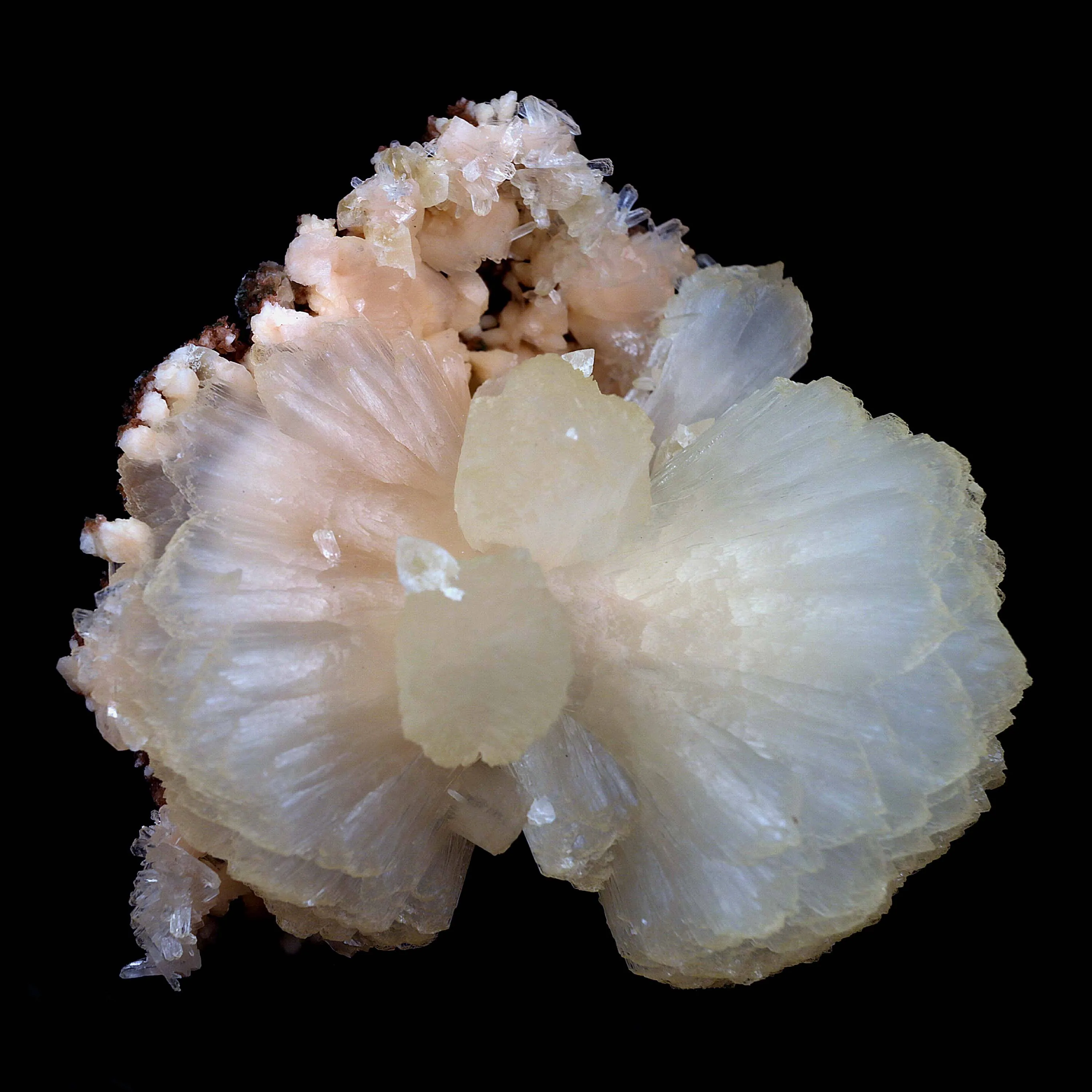 Stilbite Perfect Bow-tie on Heulandite Natural Mineral Specimen - image 5