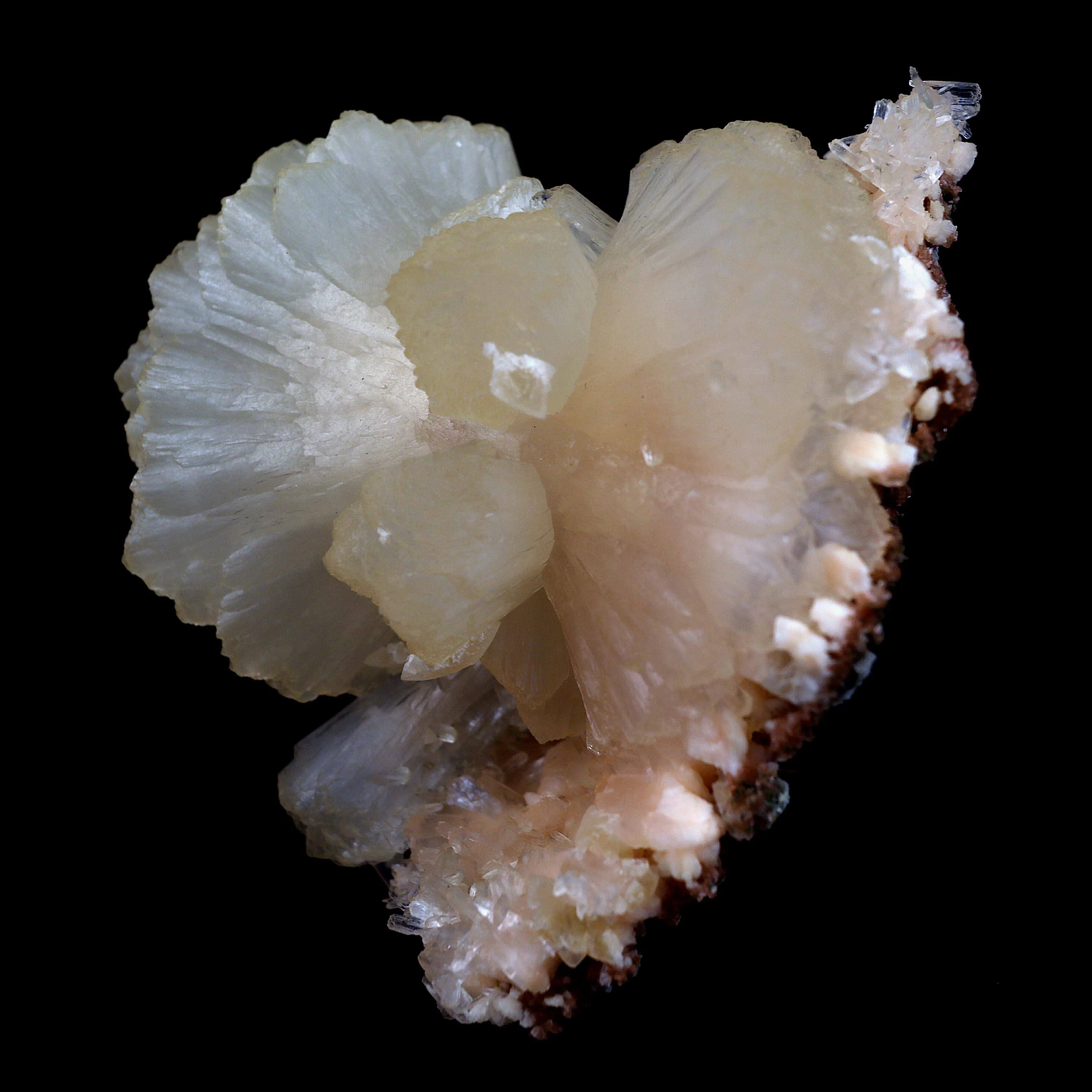 Stilbite Perfect Bow-tie on Heulandite Natural Mineral Specimen - image 2
