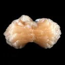 Stilbite 'Perfect Bowtie' Natural Mineral Specimen - image 1