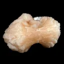 Stilbite 'Perfect Bowtie' Natural Mineral Specimen - image 2