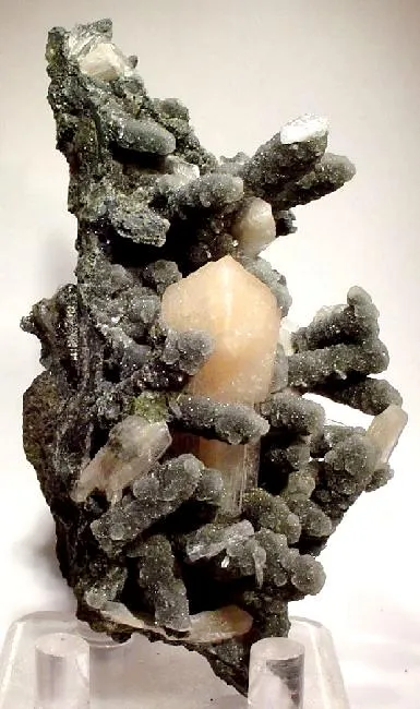 Stilbite, Quartz (Var: Chalcedony) image