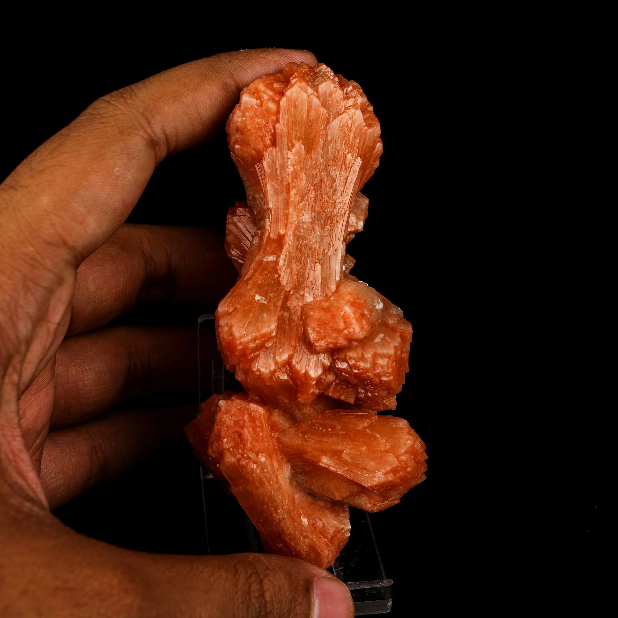 Stilbite Red Bow Natural Mineral Specimen - image 4