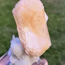 specimen video