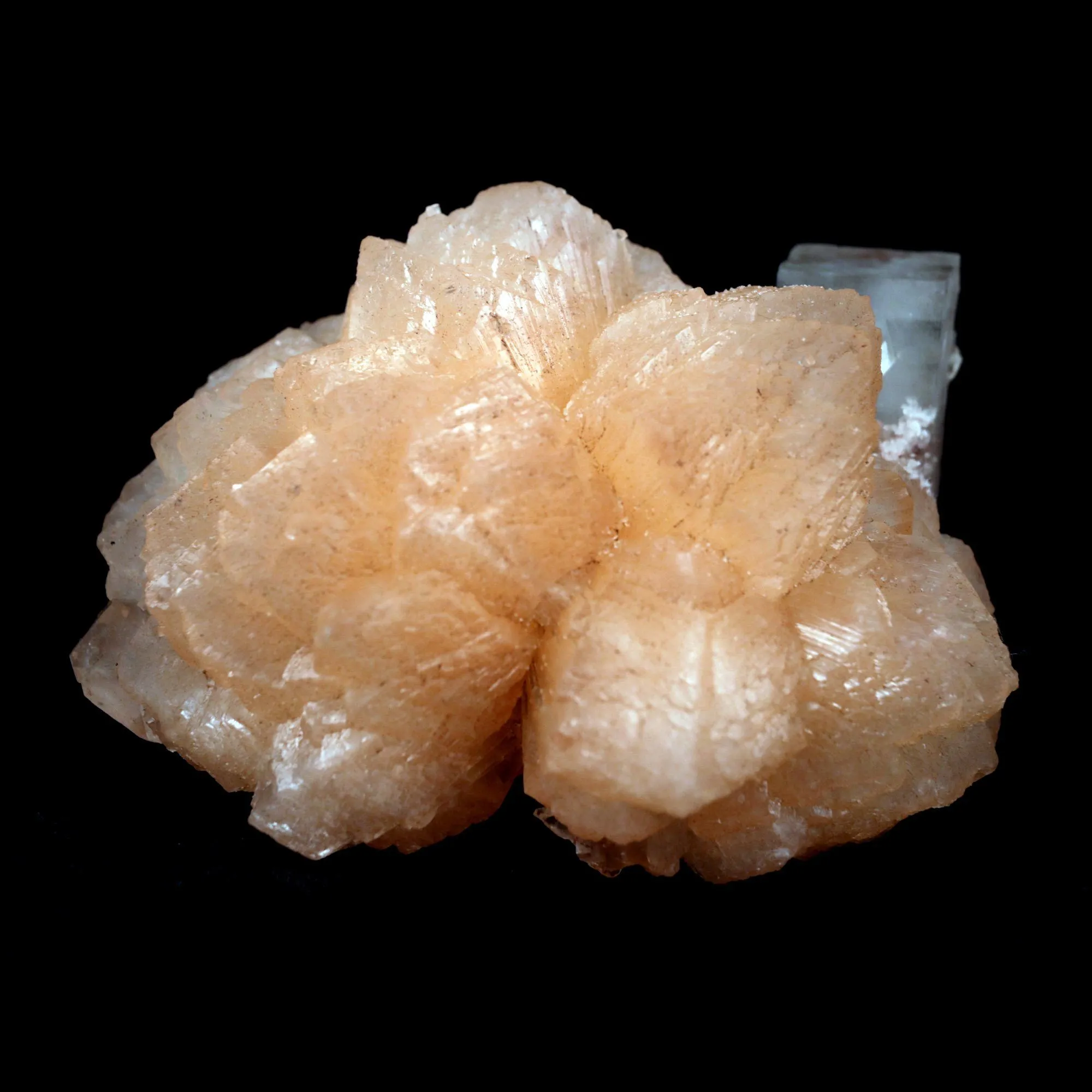 Stilbite with Apophyllite on Chalcedony Natural Mineral Specimen - image 6