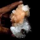 Stilbite with Apophyllite on Chalcedony Natural Mineral Specimen - image 4