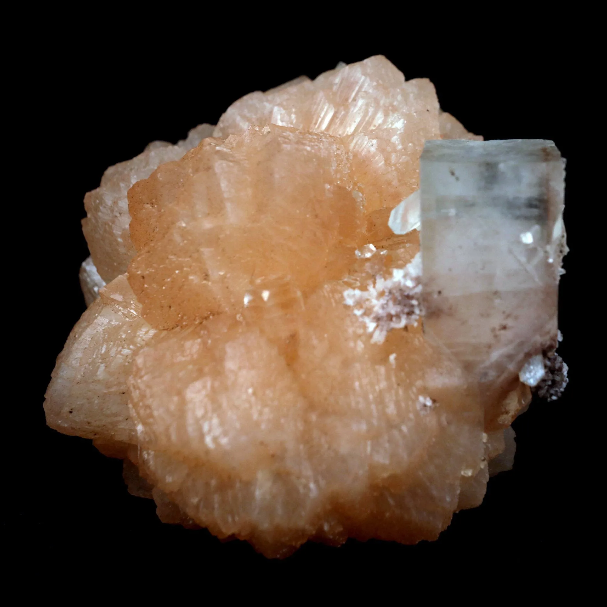 Stilbite with Apophyllite on Chalcedony Natural Mineral Specimen - image 2