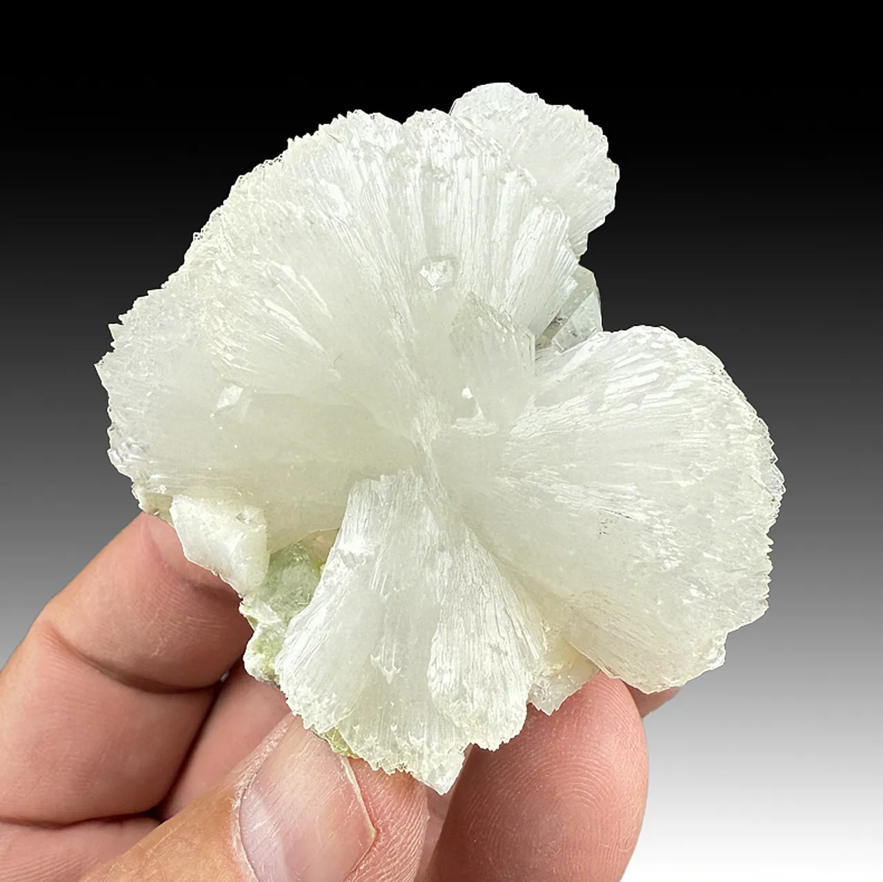 Stilbite with Fluorapophyllite-K - image 1