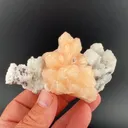 Stilbite with Fluorapophyllite, Quartz - image 1