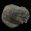 Stilbite with Heulandite Natural Mineral Specimen - image 5