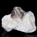 Stillwellite-(Ce) on Calcite - image 4