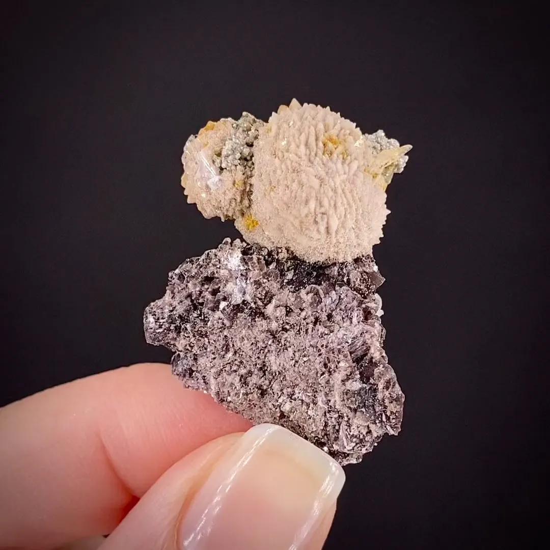 Stokesite with Cookeite on Lepidolite (illustrated) - image 2