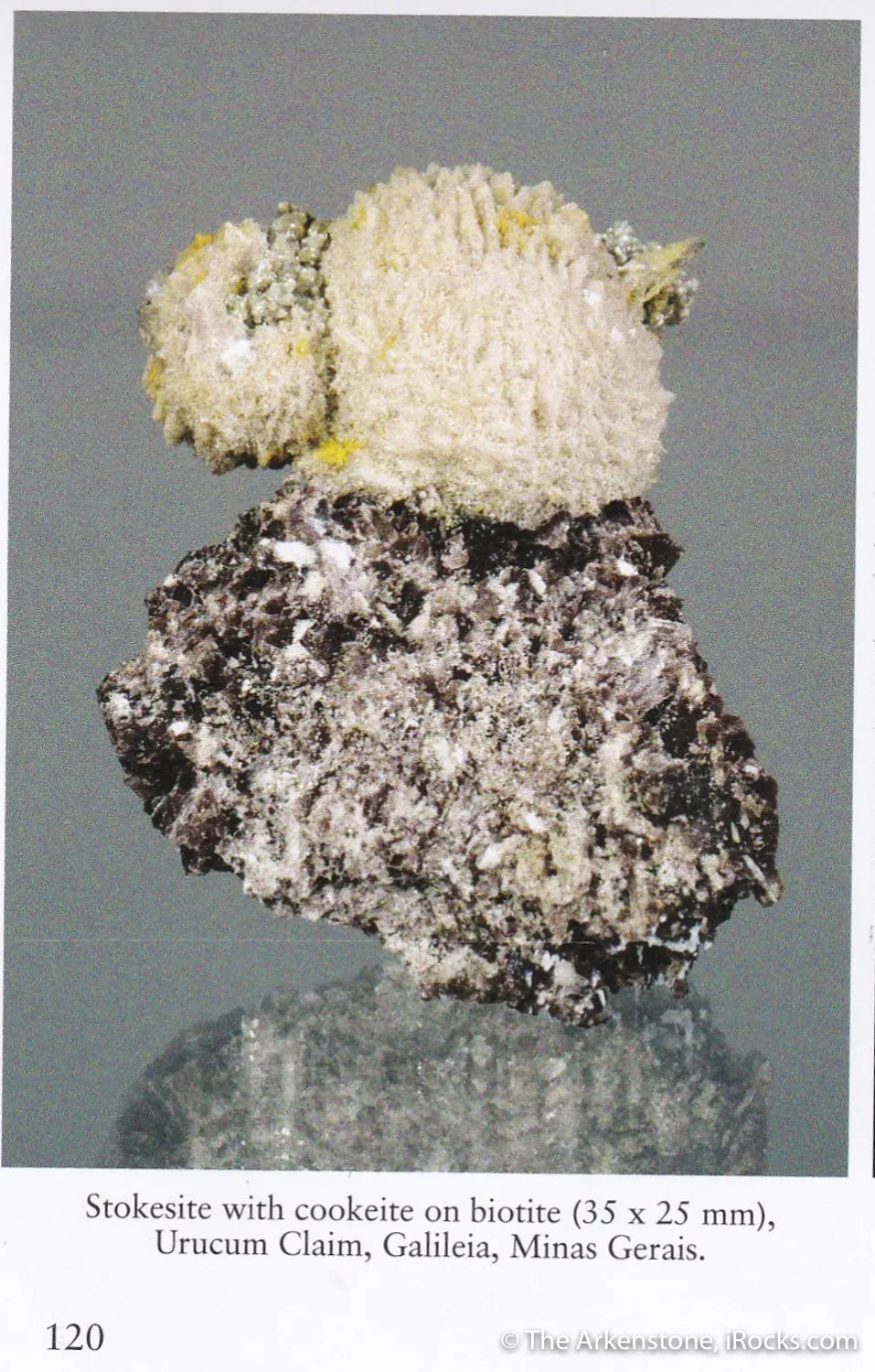 Stokesite with Cookeite on Lepidolite (illustrated) - image 6