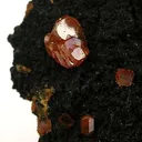 Stolzite - image 4