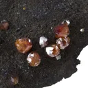 Stolzite - image 4