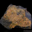 Stolzite - image 3