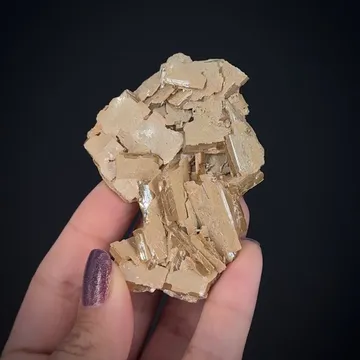 Stolzite