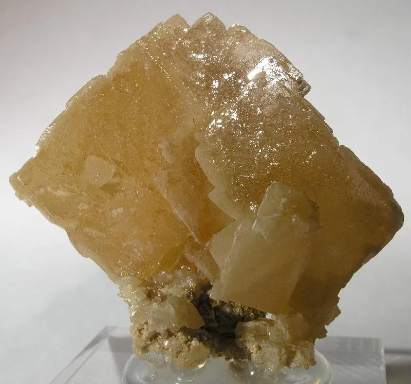 Stolzite image