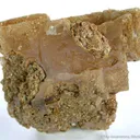 Stolzite - image 1