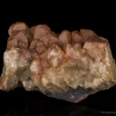 Stolzite (found 1908) - image 2