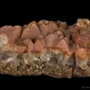 Stolzite (found 1908) - image 1