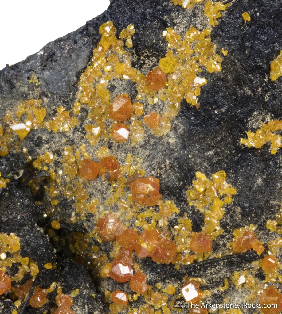 Stolzite with Wulfenite image