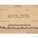 Stolzite with Wulfenite - image 7