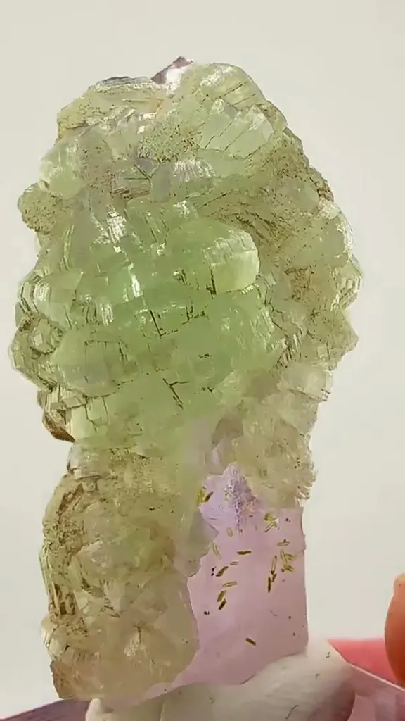 Streep Mine Amethyst with Prehnite Small in size… massive in presence - image 3