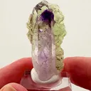 Streep Mine Amethyst with Prehnite Small in size… massive in presence - image 1