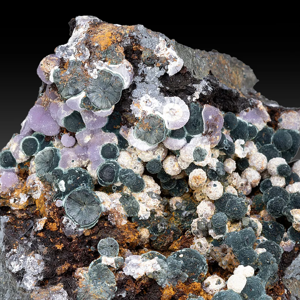 Strengite with Kidwellite - image 1