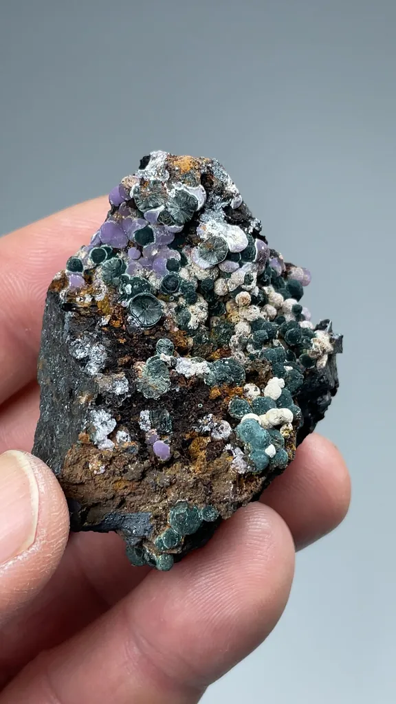 Strengite with Kidwellite - image 3