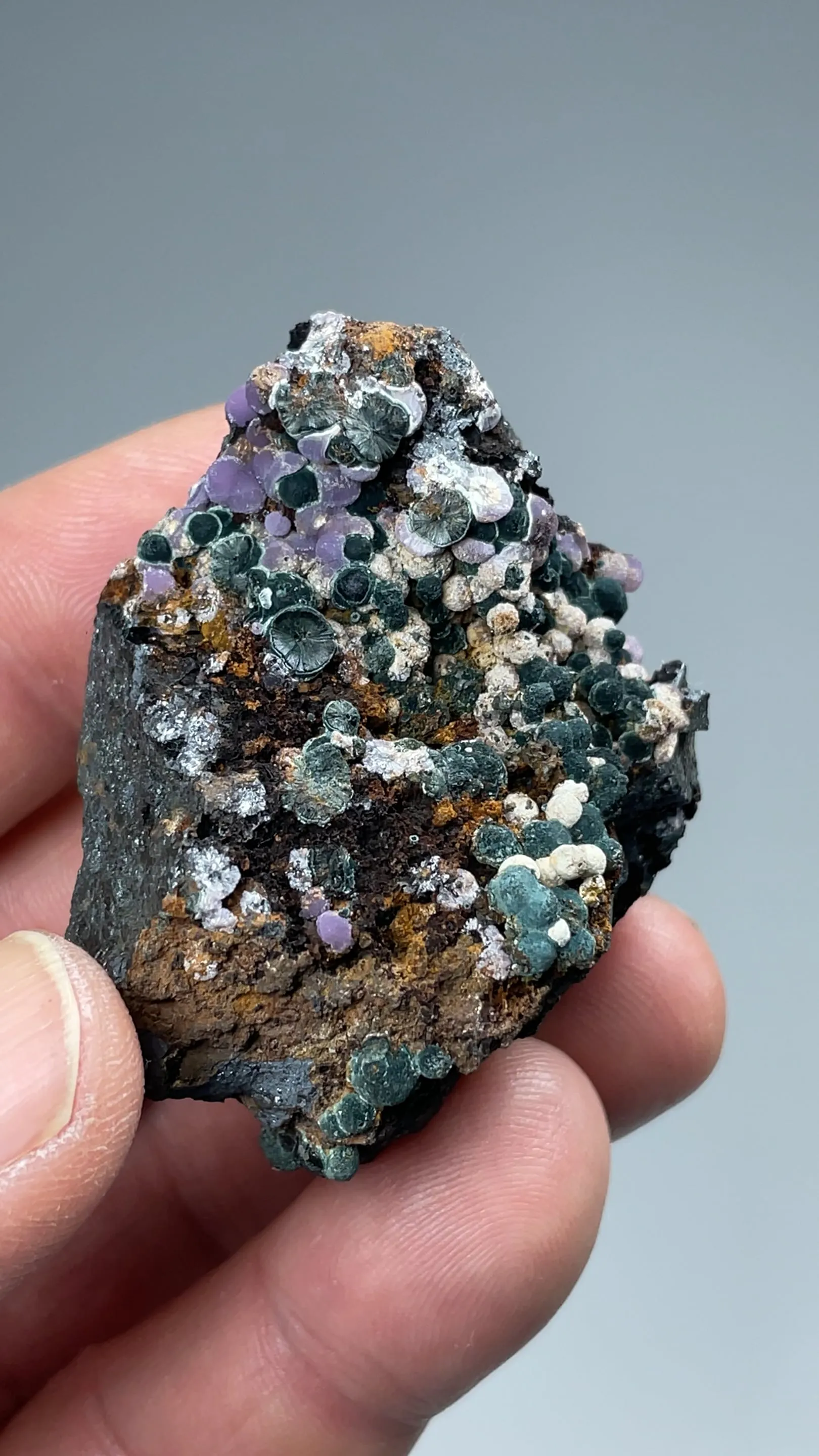 Strengite with Kidwellite - image 3