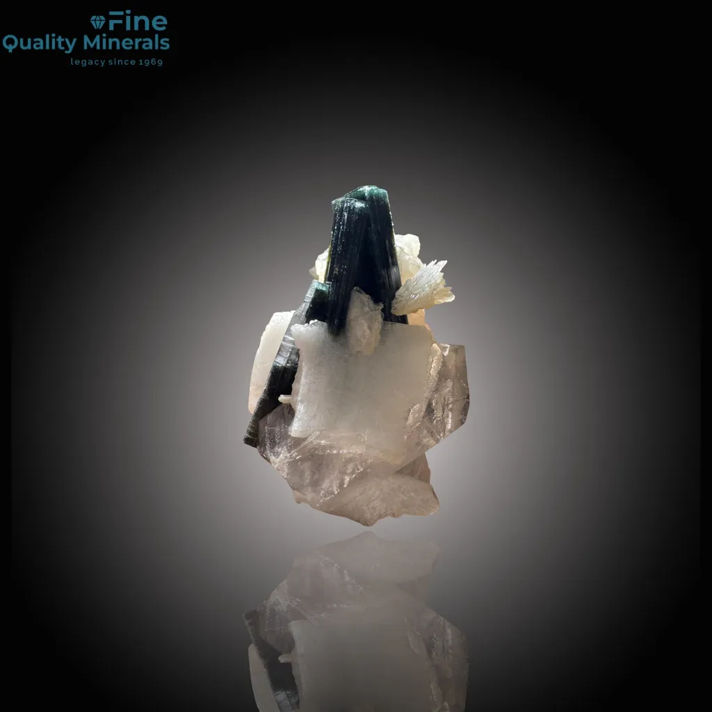 Striking Tourmaline and Quartz Cluster on Matrix image