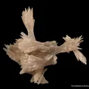 Strontianite - image 3