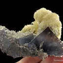 Strontianite and Calcite on Fluorite - image 2