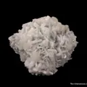 Strontianite (fl) on Baryte on Fluorite - image 2