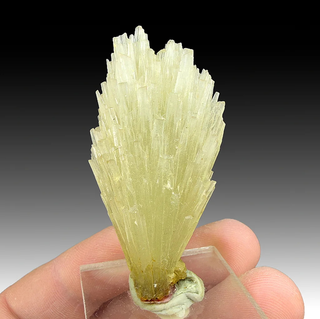 Strontianite from Minerva No. 1 Mine, Hardin County, Illinois, USA - image 1