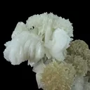 Strontianite (Two Colors) and Baryte on Sphalerite - image 3