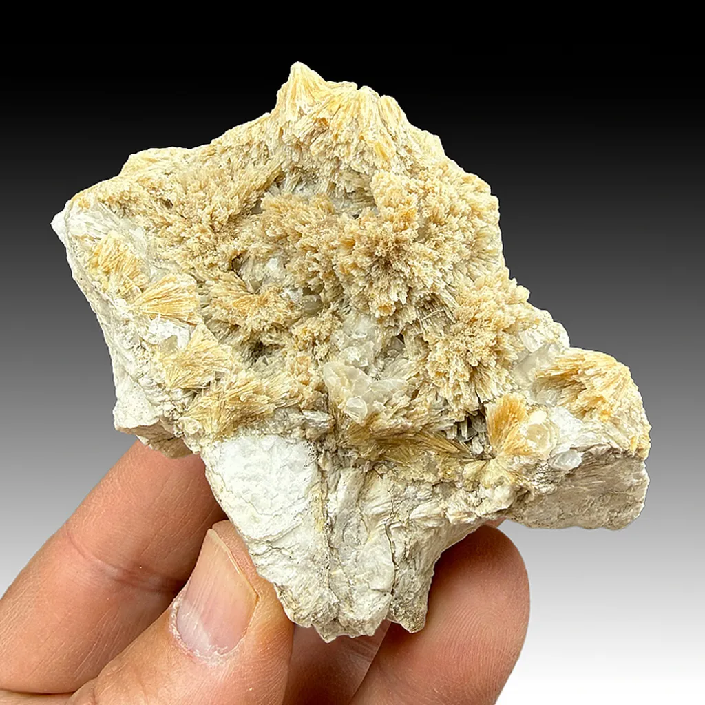 Strontianite with Barite image