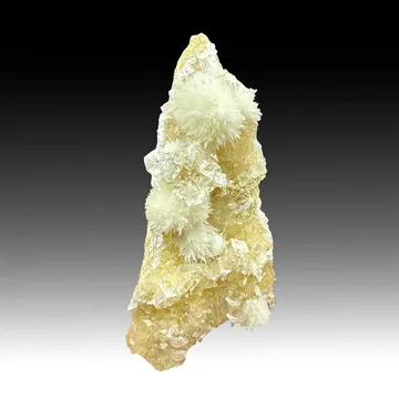 Strontianite with Calcite