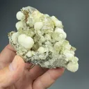 Strontianite with Calcite, Pyrite - image 2